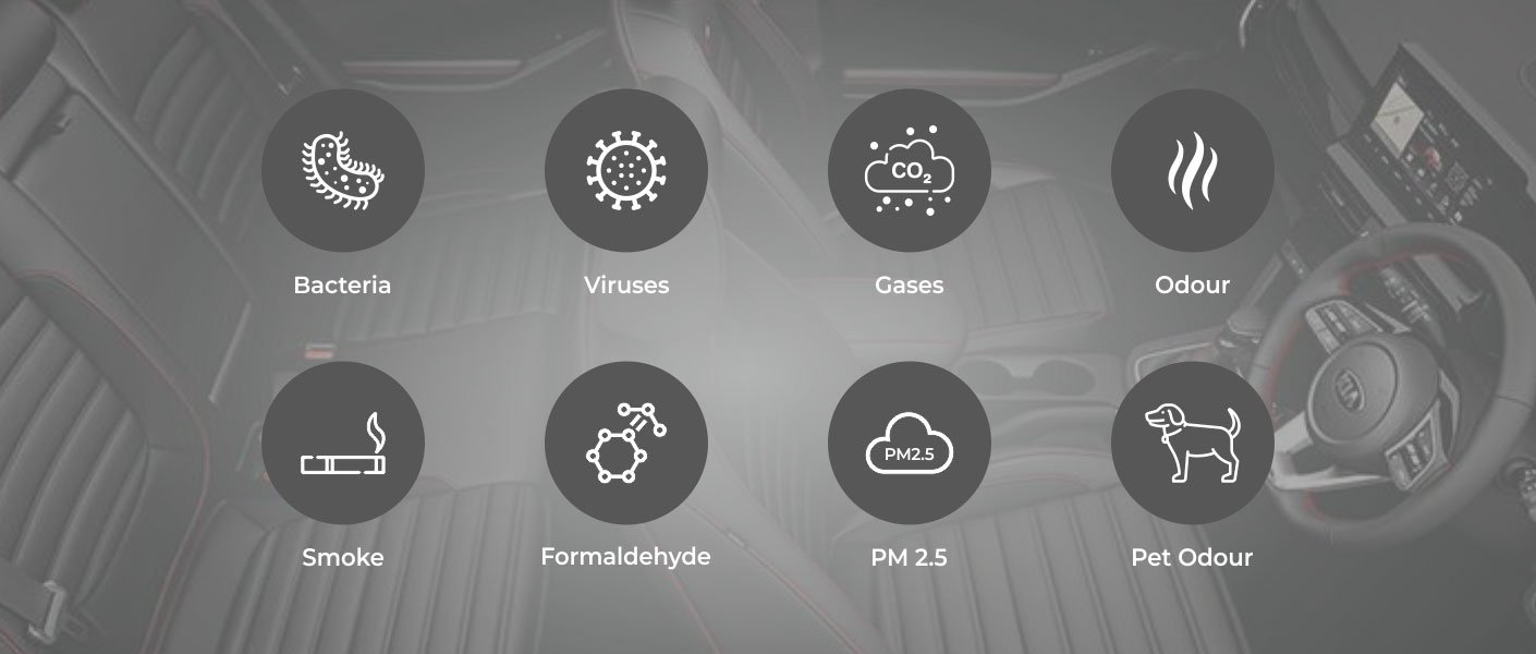 pollutants-in-the-car