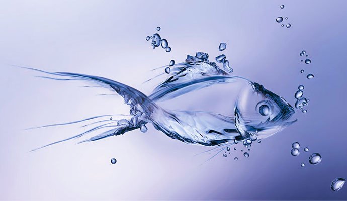 Ozone in Aquaculture ozone-generator-for-aquaculture