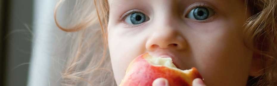 Ozone in Food Processing application ozone-in-food-processing-application-faraday-ozone