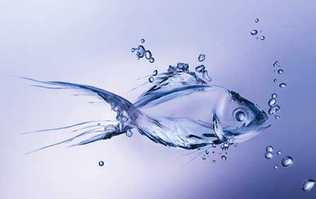Ozone treatment for Aquaculture ozone-treatment-for-aquaculture-faraday-ozone-india