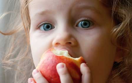Ozone treatment for Food Processing ozone-treatment-for-food-processing-faraday-ozone-india