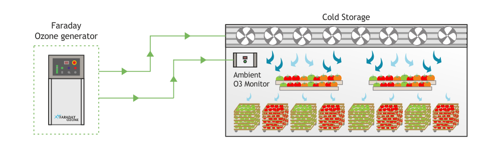 Ozone treatment in Cold Storage diagram Faraday Ozone ozone-treatment-in-cold-storage-diagram-faraday-ozone-india